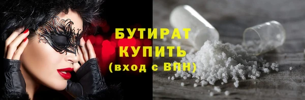 индика Алзамай