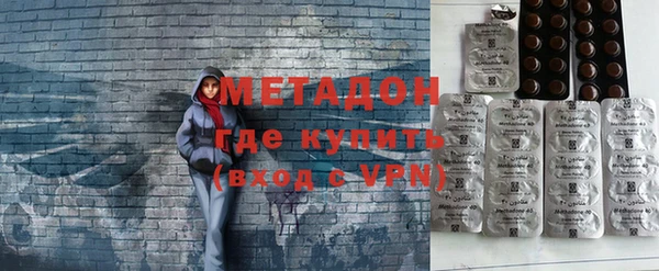 индика Алзамай
