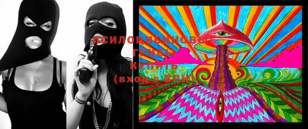 индика Алзамай