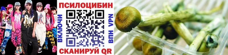 Псилоцибиновые грибы мицелий  Купить где  Карачев 